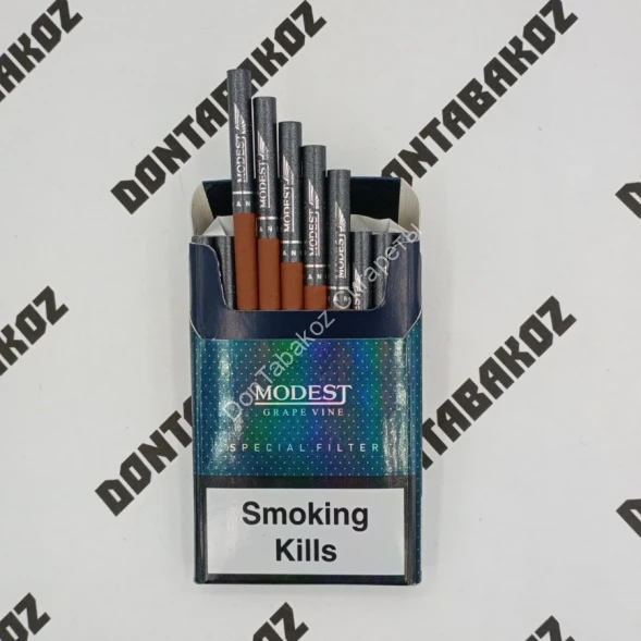 Сигареты Modest Grape Vine Nano Микс 