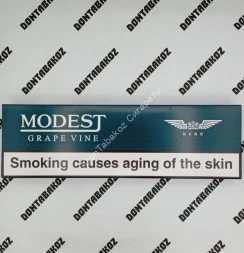 Сигареты Modest Grape Vine Nano Микс