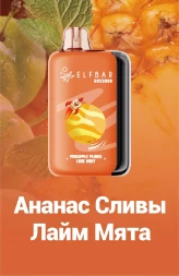 Электронная сигара Elf bar Ананас-Сливы-Лайм-Мята GH23000 затяжек 20мг Hard (5% Hard) Оптом