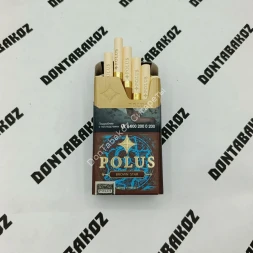 Сигариллы с фильтром Polus Brown Star Compact микс