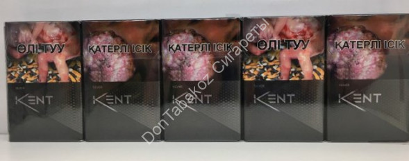 Сигареты Кент (Kent) Silver Nano оптом 