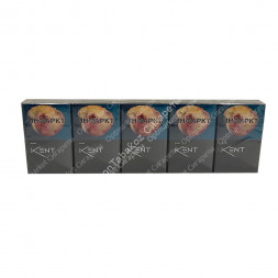 Сигареты Кент (Kent) Nano 4 оптом